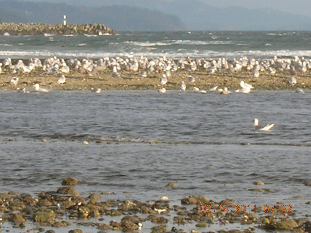 Davis Bay Couette-café 2*